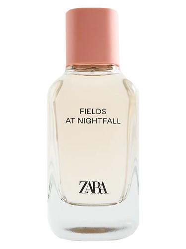 Fields at Nightfall 2020 by Zara
