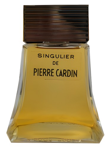 Singulier by Pierre Cardin