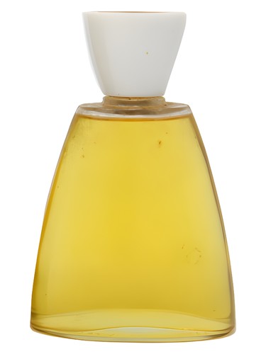 Amadis by Pierre Cardin