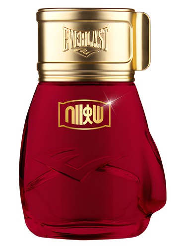 Choice Of Champions Street Fighter Hadouken by Everlast