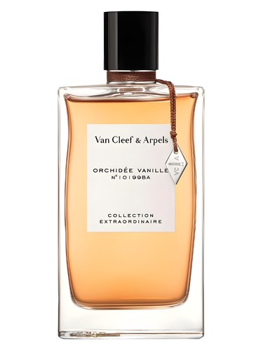 Orchidée Vanille Van Cleef & Arpels perfume by Van Cleef Arpels