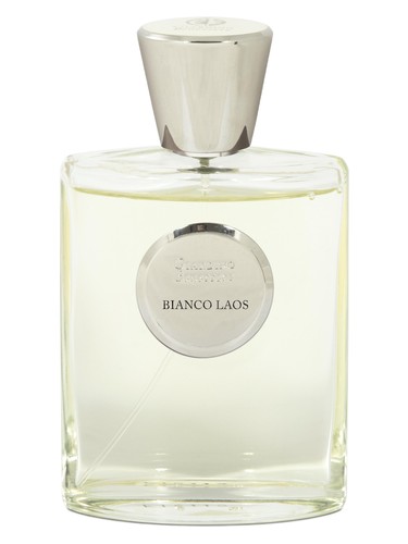 Bianco Laos by Giardino Benessere