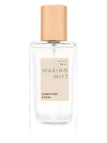 Marine Mist by Good Chemistry