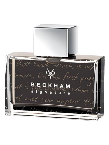 Signature Story for Him by David Beckham