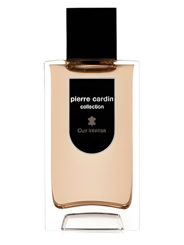 Pierre Cardin Collection Cuir Intense by Pierre Cardin