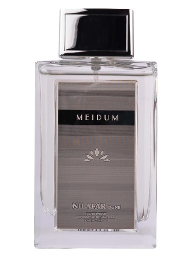 Meidum by Nilafar du Nil