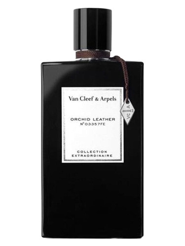 Orchid Leather Van Cleef & Arpels perfume by Van Cleef Arpels