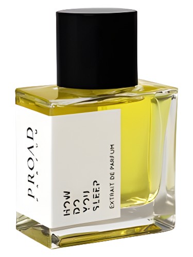 How Do You Sleep by Proad