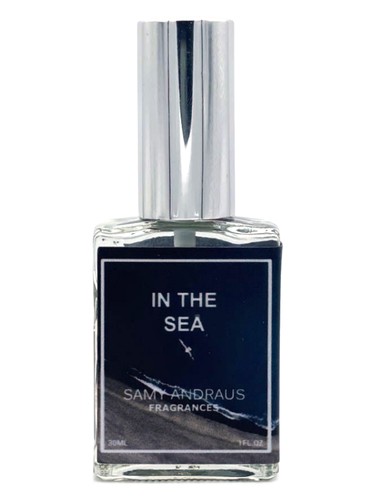 In The Sea by Samy Andraus Fragrances
