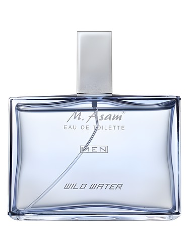 Men Wild Water M. Asam cologne by M Asam