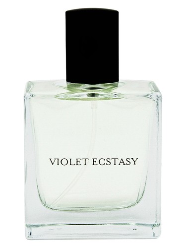 Violet Ecstasy by Vdot