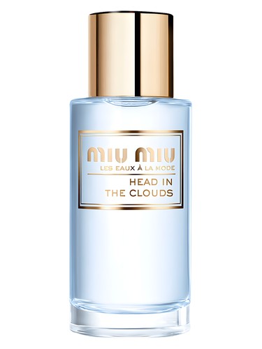 Head In The Clouds by Miu Miu