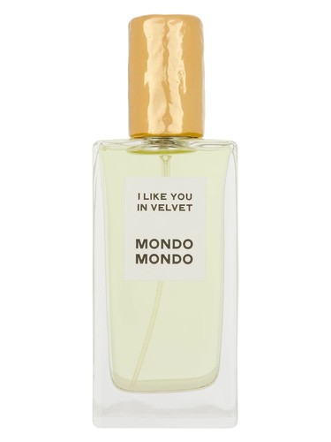I Like You In Velvet by Mondo Mondo