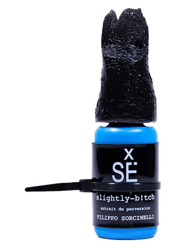 slightly-b!tch by Filippo Sorcinelli