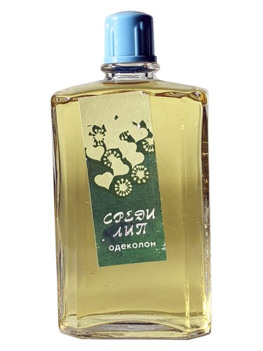 Among the linden trees by Iberia Iveria