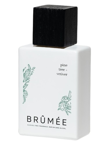 Pine Tree + Vetiver Brûmée perfume by Brumee