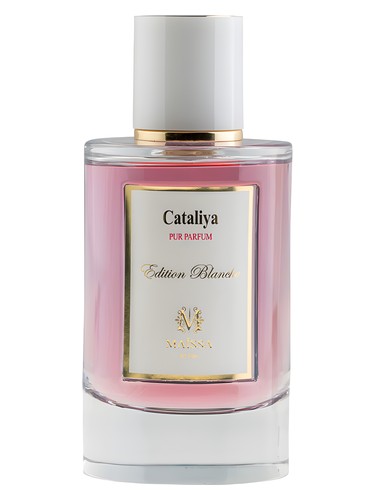 Cataliya Maïssa Parfums perfume by Maissa Parfums