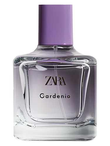 Gardenia by Zara