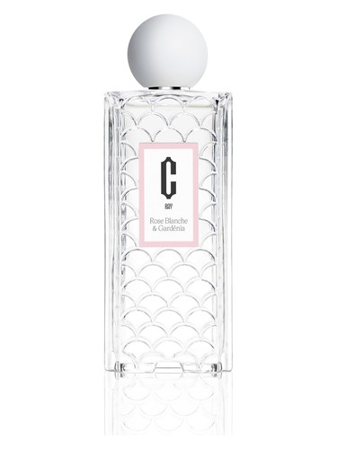 Rose Blanche & Gardénia by Carlotha Ray