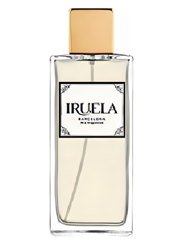 Citrus Inspiration by Iruela