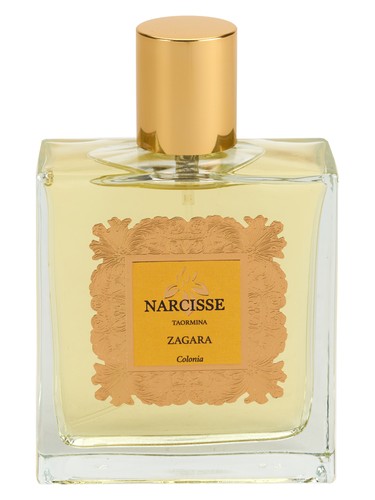 Zagara by Narcisse Taormina