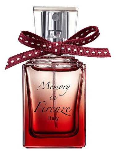 Memory in Firenze Italy by The SAEM