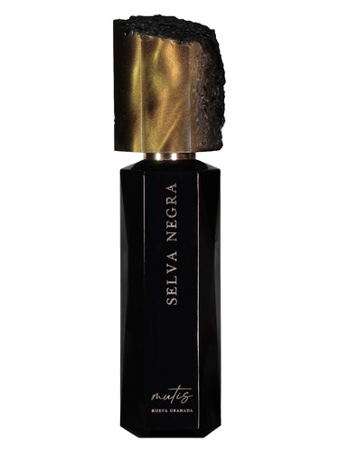 Selva Negra by Mutis Nueva Granada