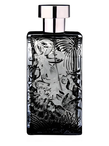 Aboriginal Gardens by Nicolas Danila