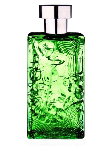 Arabian Gardens by Nicolas Danila