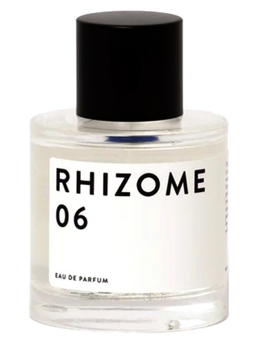Rhizome 06 by Rhizome