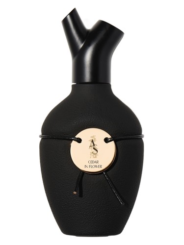 Cedar in Flower by Scents of Wood