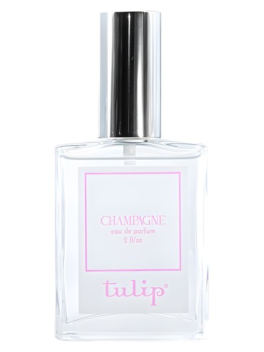 Champagne by Tulip
