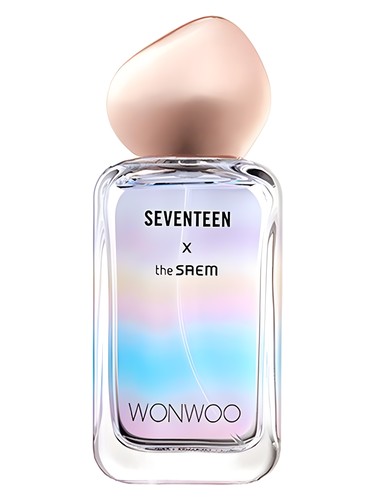 Seventeen X Wonwoo by The SAEM