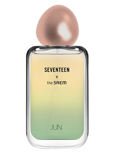 Seventeen X Jun by The SAEM