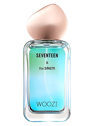 Seventeen X Woozi by The SAEM