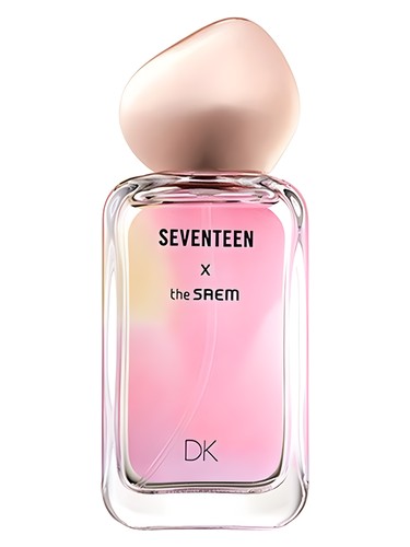 Seventeen X DK by The SAEM