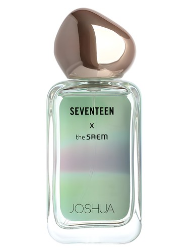 Seventeen X Joshua by The SAEM