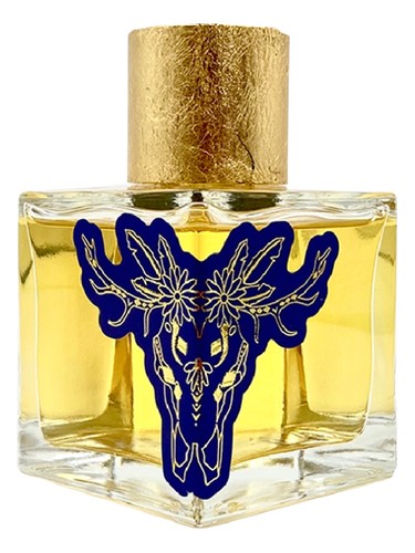 Kocha Nights by Gypsy Story