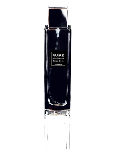 Mimosa Bloom by Prairie Artisan Fragrances