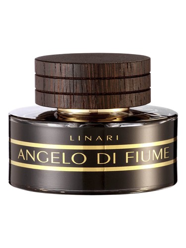 Angelo di Fiume by Linari