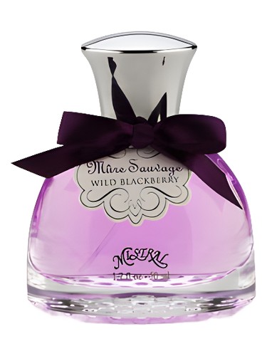 Wild Blackberry by Mistral