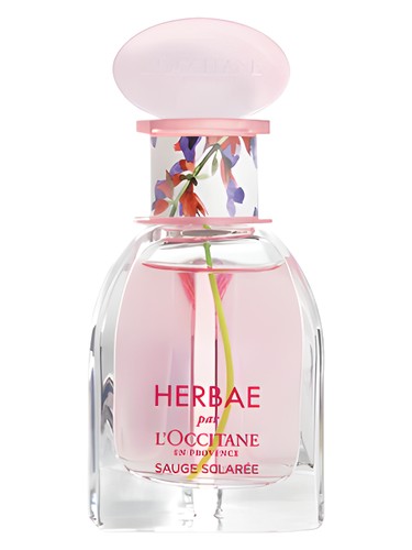 Herbae Clary Sage L'Occitane en Provence perfume by L Occitane en Provence