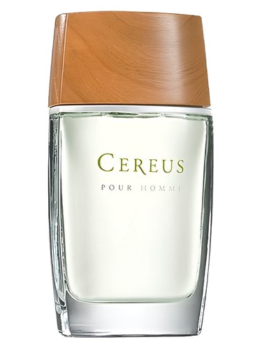 Cereus No. 6 by Cereus