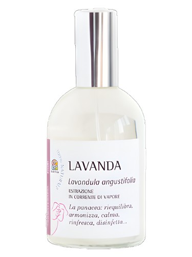 Lavanda
