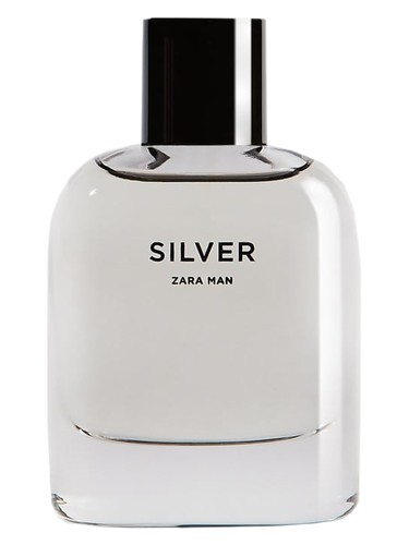 Silver by Zara