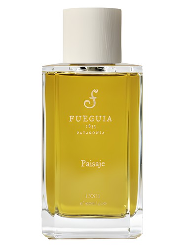 Paisaje by Fueguia 1833