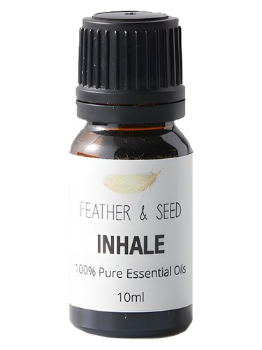 Inhale by Sensor I Am