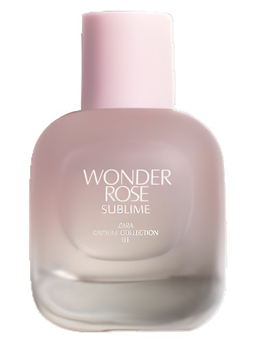 Wonder Rose Sublime by Zara