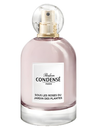 Sous les Roses du Jardin des Plantes Condensé Paris perfume by Condense Paris