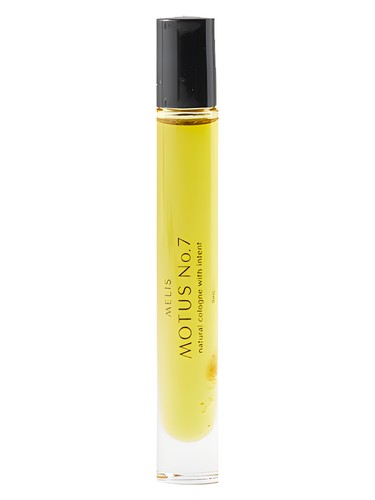 Motus No.7 by Sensor I Am